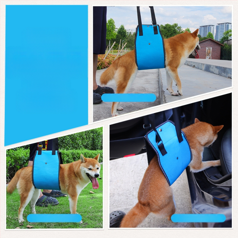 Határokon átnyúló exkluzív kutyáknak szóló vonókötél fogyatékkal élő kutyáknak idős kutyáknak szóló kiegészítő mellkasi emelő heveder kisállat mellkasi heveder nagykereskedelem