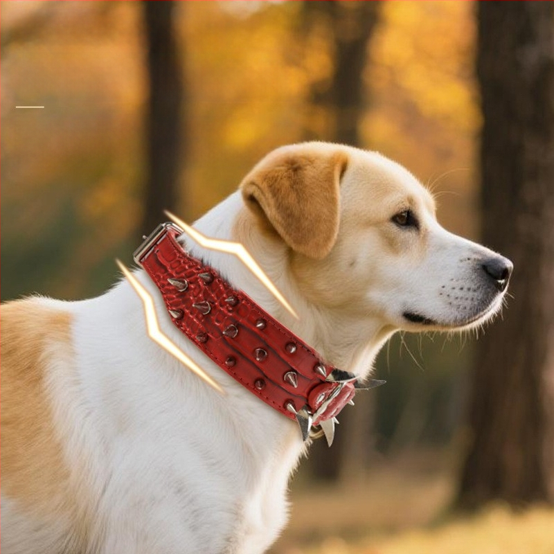 Piiriülene suurte koerte kaelarihm neetidega kaelakaitse krokodillimustriga hundihammastega laiendatud kumer tugev hammustusvastane nael hulgimüügist