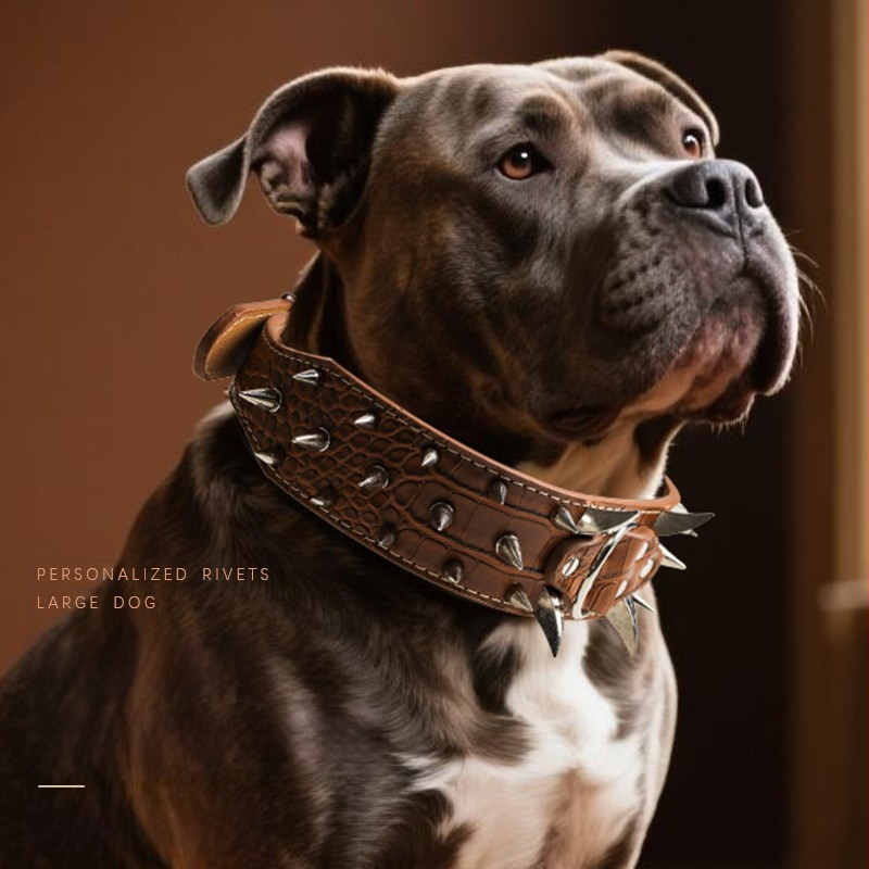 Piiriülene suurte koerte kaelarihm neetidega kaelakaitse krokodillimustriga hundihammastega laiendatud kumer tugev hammustusvastane nael hulgimüügist