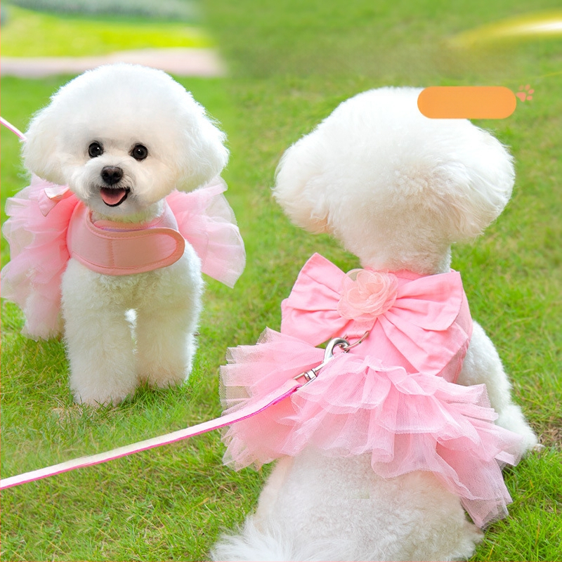 Határokon átnyúló mellkaspánt kölyökkutya-húzókötél mellény stílusú törésgátló rugó kis és közepes méretű kutyáknak bixu teddy sétálólánc