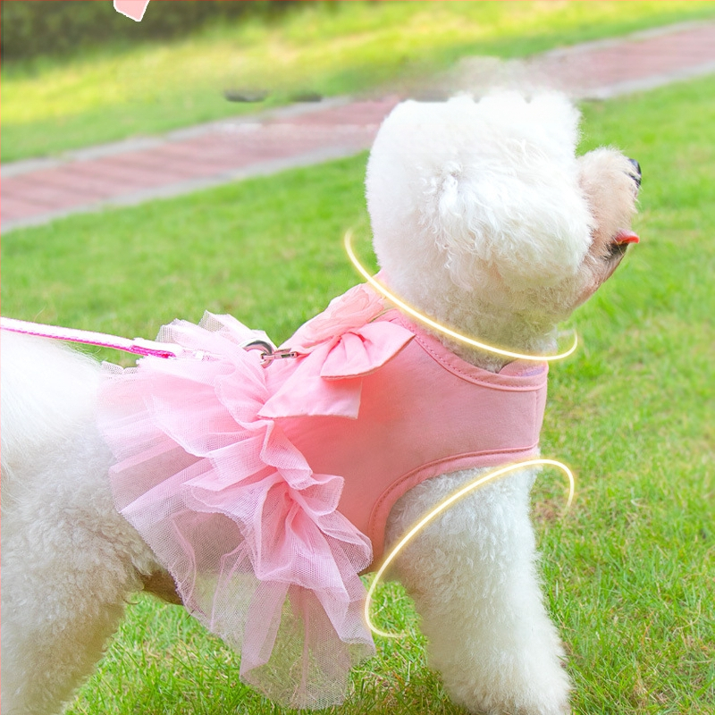 Határokon átnyúló mellkaspánt kölyökkutya-húzókötél mellény stílusú törésgátló rugó kis és közepes méretű kutyáknak bixu teddy sétálólánc