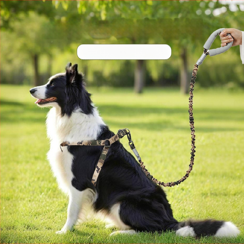 Határokon átnyúló új kisállat hám kutyáknak, rugalmas, robbanásbiztos húzókötél, kis és közepes méretű mellény stílusú kutyáknak való sétakötél-készlet