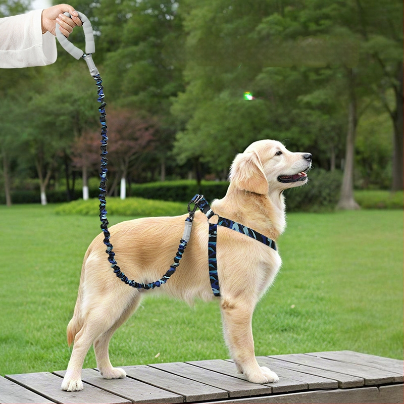 Határokon átnyúló új kisállat hám kutyáknak, rugalmas, robbanásbiztos húzókötél, kis és közepes méretű mellény stílusú kutyáknak való sétakötél-készlet