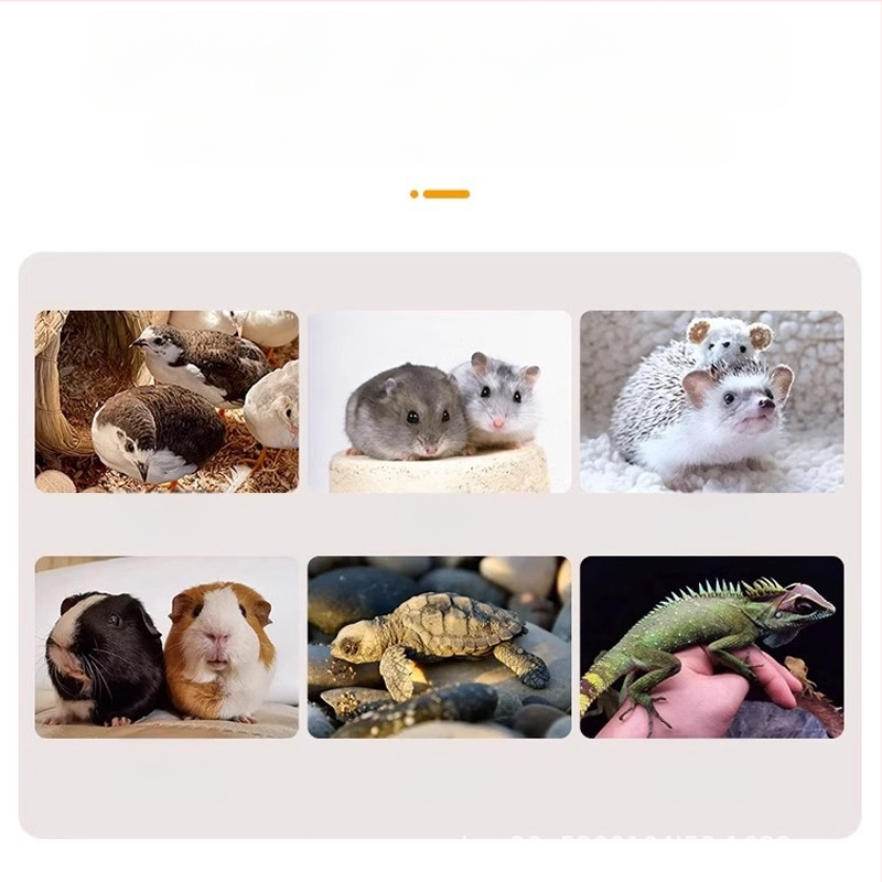 Rutin csirke tenyészdoboz, teljes készlet, kerti kunyhó, kisállat tenyészketrec, csirkefészek, Lutin csirkeházi madár tenyészketrec