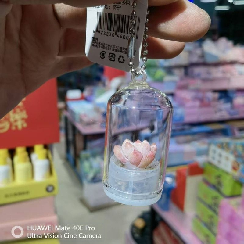 Kūrybingas sukulentų augalas, mažas pakabukas, amatų dovanų ornamentas, automobilio dekoracija, mini augalas, streso mažinimas, mažas aksesuaras