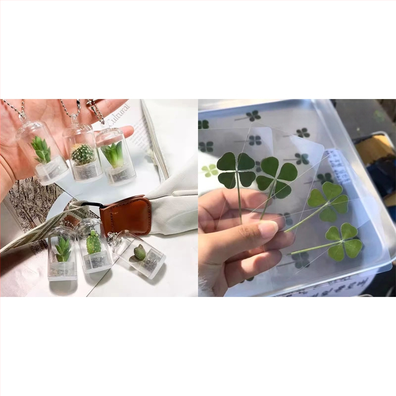 Kūrybingas sukulentų augalas, mažas pakabukas, amatų dovanų ornamentas, automobilio dekoracija, mini augalas, streso mažinimas, mažas aksesuaras