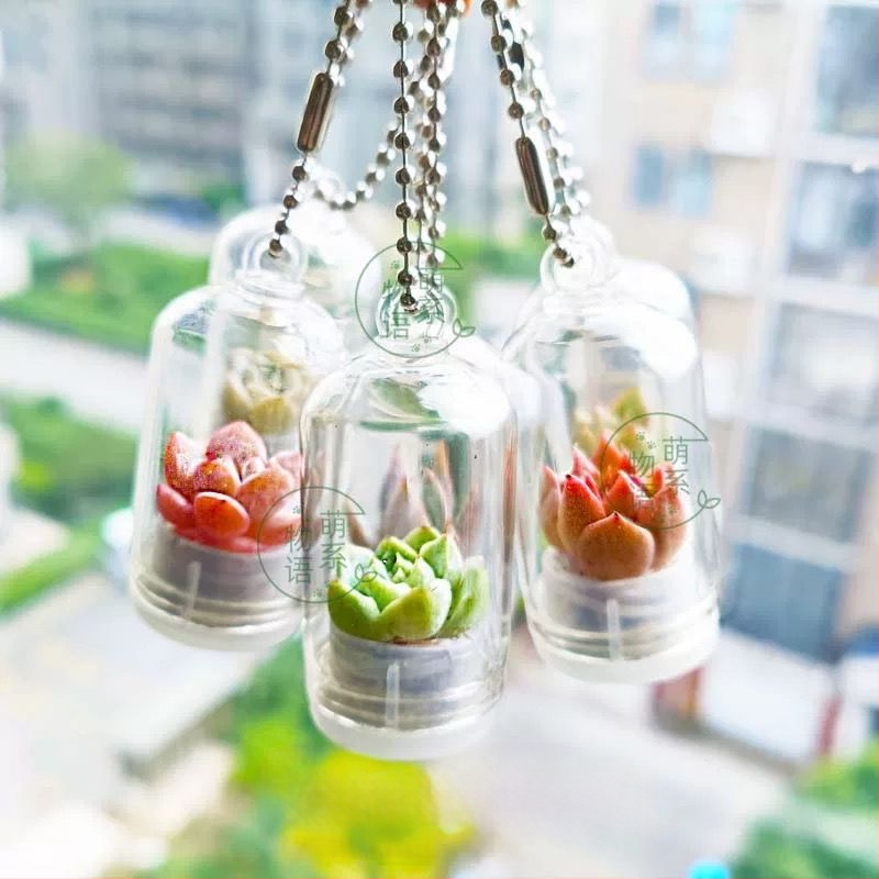 Kūrybingas sukulentų augalas, mažas pakabukas, amatų dovanų ornamentas, automobilio dekoracija, mini augalas, streso mažinimas, mažas aksesuaras