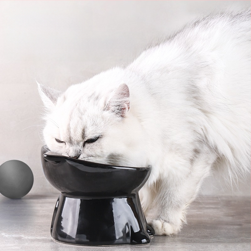 Clove kassikauss, keraamiline lemmikloomale integreeritud kassikauss, kassikauss, koerakauss, ümberminekuvastane, must kass