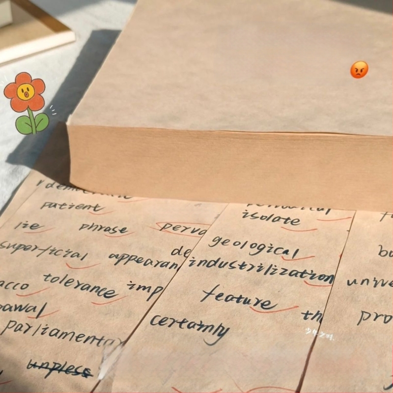 Блогър с 320 парчета чернова от сурова дървесна пулпа за студенти по приемни изпити в докторантура с празна бежова хартия за защита на очите, удебелена с математически анализ