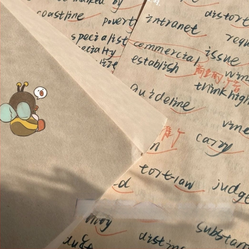 Блогър с 320 парчета чернова от сурова дървесна пулпа за студенти по приемни изпити в докторантура с празна бежова хартия за защита на очите, удебелена с математически анализ