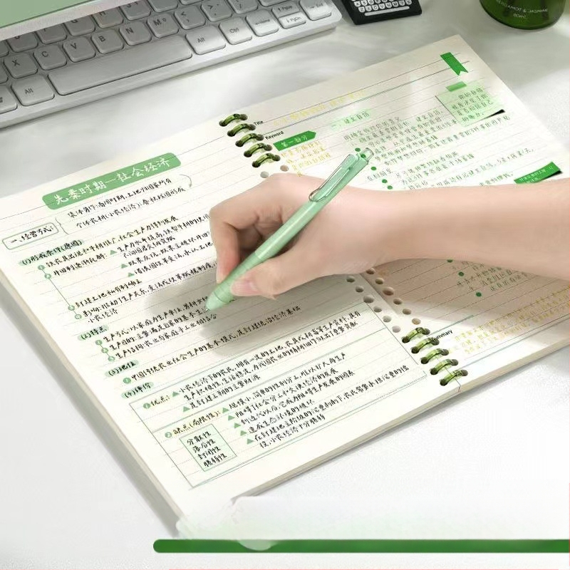 Õlimaal Kuulus maalimine Lahtised lehed raamat b5 Eemaldatav märkmik Kõrge värviväärtus Ilma spiraali näitamiseta Ringraamat Õpilase märkmik