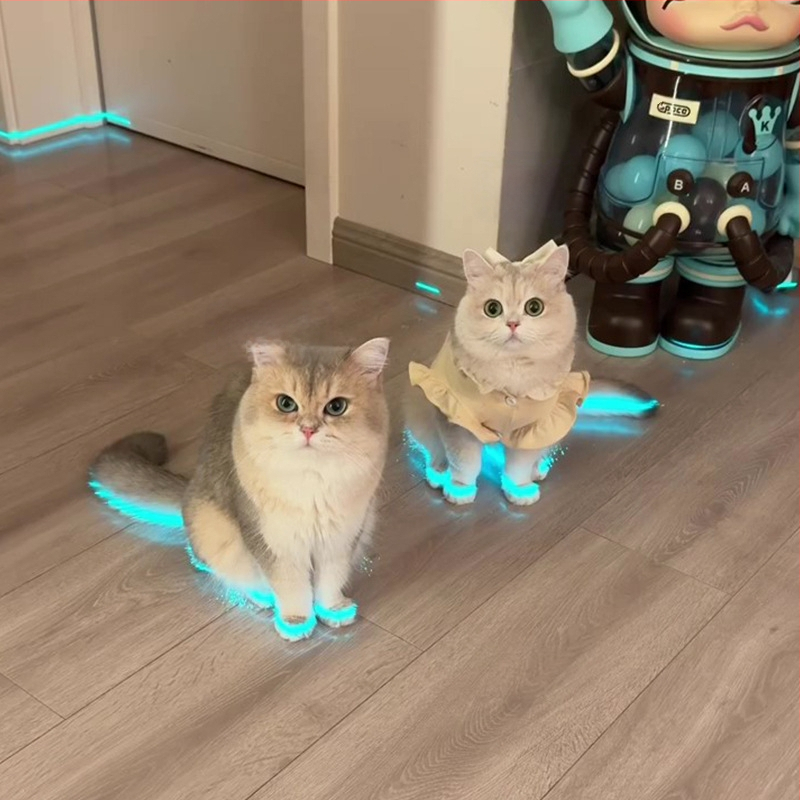 Šviečiantys katės bateliai, naminių gyvūnėlių bateliai, švilpukas, šviečiantys vaikų žaislai, naktinių nuotraukų aksesuarai, katės apranga