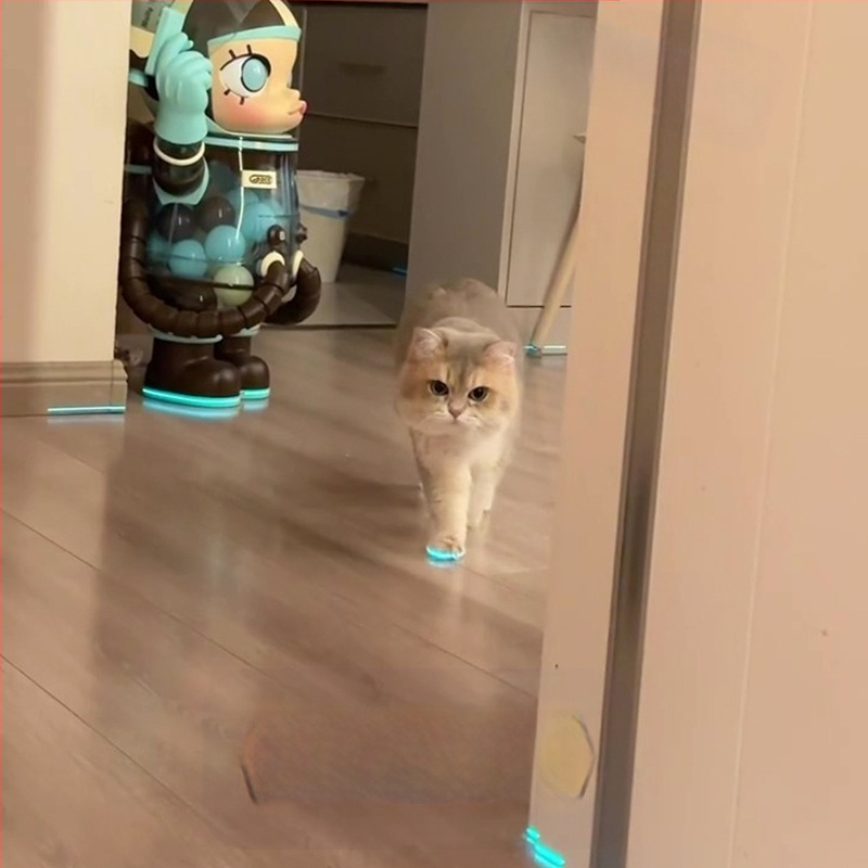 Šviečiantys katės bateliai, naminių gyvūnėlių bateliai, švilpukas, šviečiantys vaikų žaislai, naktinių nuotraukų aksesuarai, katės apranga