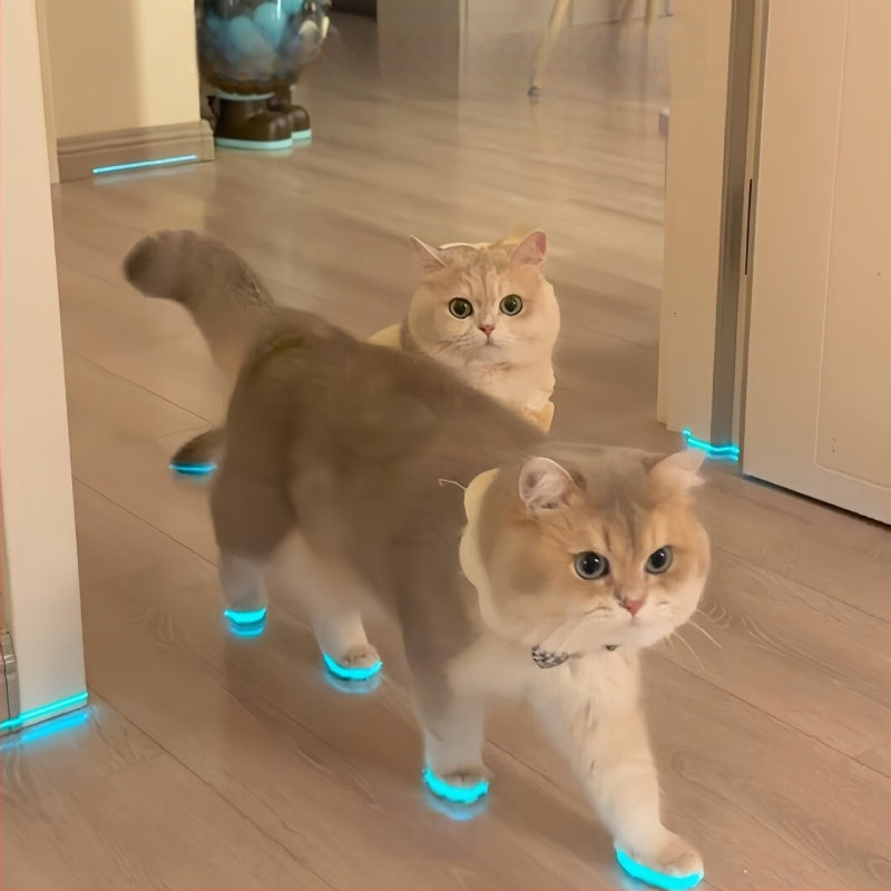 Šviečiantys katės bateliai, naminių gyvūnėlių bateliai, švilpukas, šviečiantys vaikų žaislai, naktinių nuotraukų aksesuarai, katės apranga