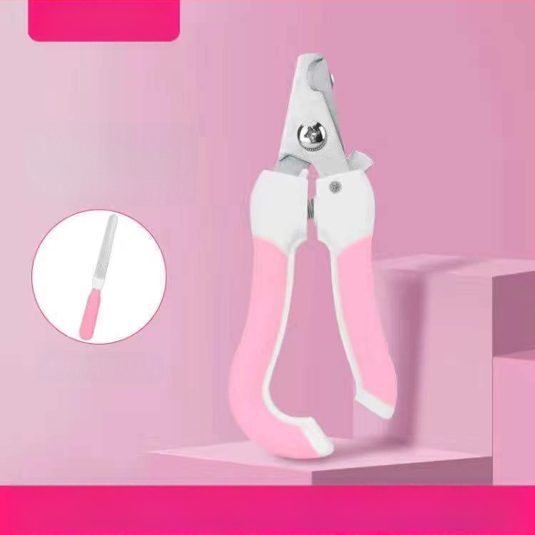 Jorkšyro šuns specialios nagų kirpimo žirklutės naminių gyvūnėlių nagų replės nuo kraujavimo nuotrauka kraujavimas meškiukas šuniukas