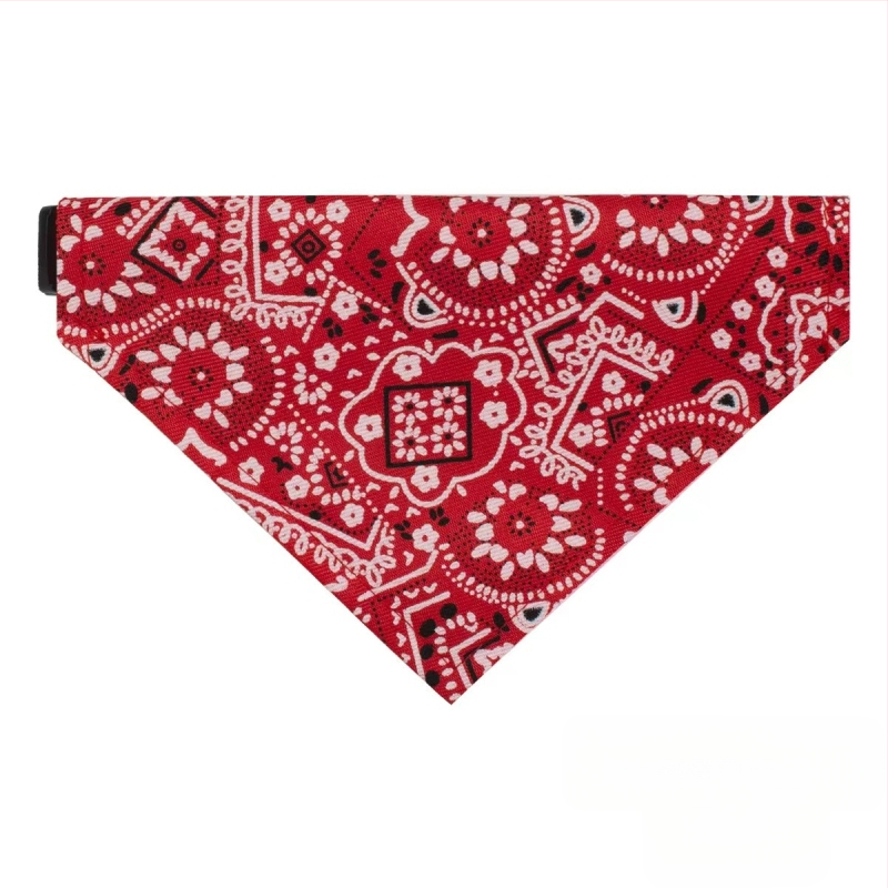 Lemmiklooma süljerätik suurele koerale kuldne retriiver armas kass kolmnurkne rätik keskmise suurusega koerale reguleeritav süljetasku