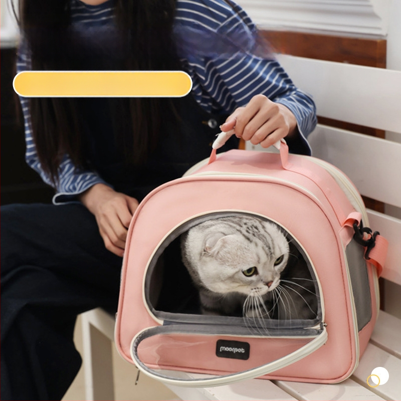 Lemmikloomade väljasõidu kassi seljakott, kaasaskantav käekott, moodne ja nägus kassi seljakott, hingav kassi väljasõidukott