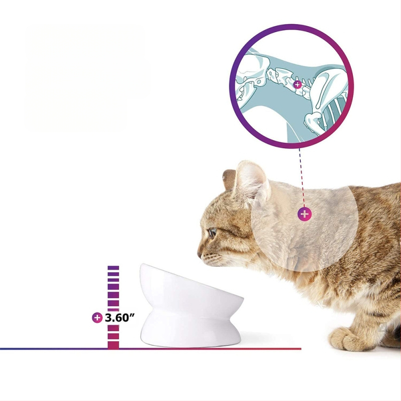 Piiriülene hulgimüügi lemmikloomade joogikauss, löögikindel kassitoidukauss, kõrge jalaga kaldus keraamiline kassikauss, koerakauss, kaelakaitse