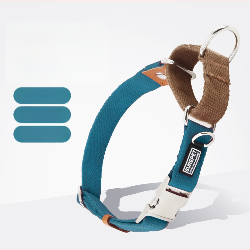 Koerakaelarihm koeramärgisega, väljalangemisvastane, P-kaelarihm väikestele, keskmistele ja suurtele koertele, kuldne retriiver, plahvatuskindel P-kaelarihm lemmikloomatarvetele