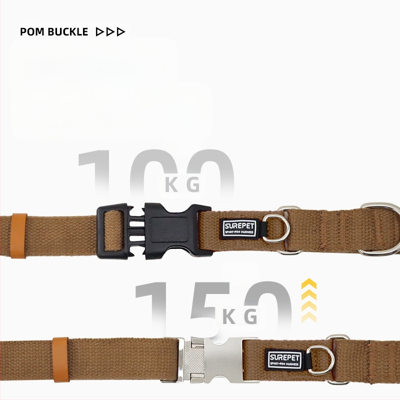 Koerakaelarihm koeramärgisega, väljalangemisvastane, P-kaelarihm väikestele, keskmistele ja suurtele koertele, kuldne retriiver, plahvatuskindel P-kaelarihm lemmikloomatarvetele