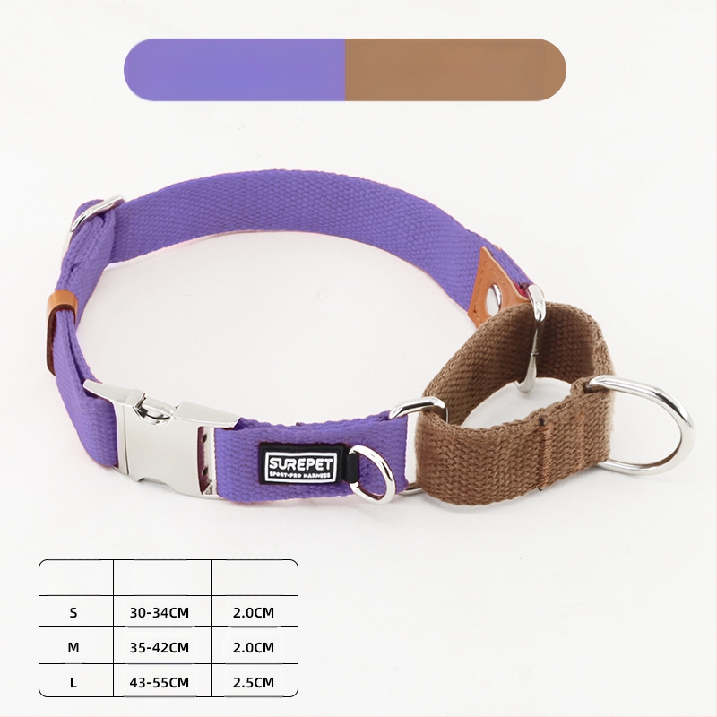 Koerakaelarihm koeramärgisega, väljalangemisvastane, P-kaelarihm väikestele, keskmistele ja suurtele koertele, kuldne retriiver, plahvatuskindel P-kaelarihm lemmikloomatarvetele