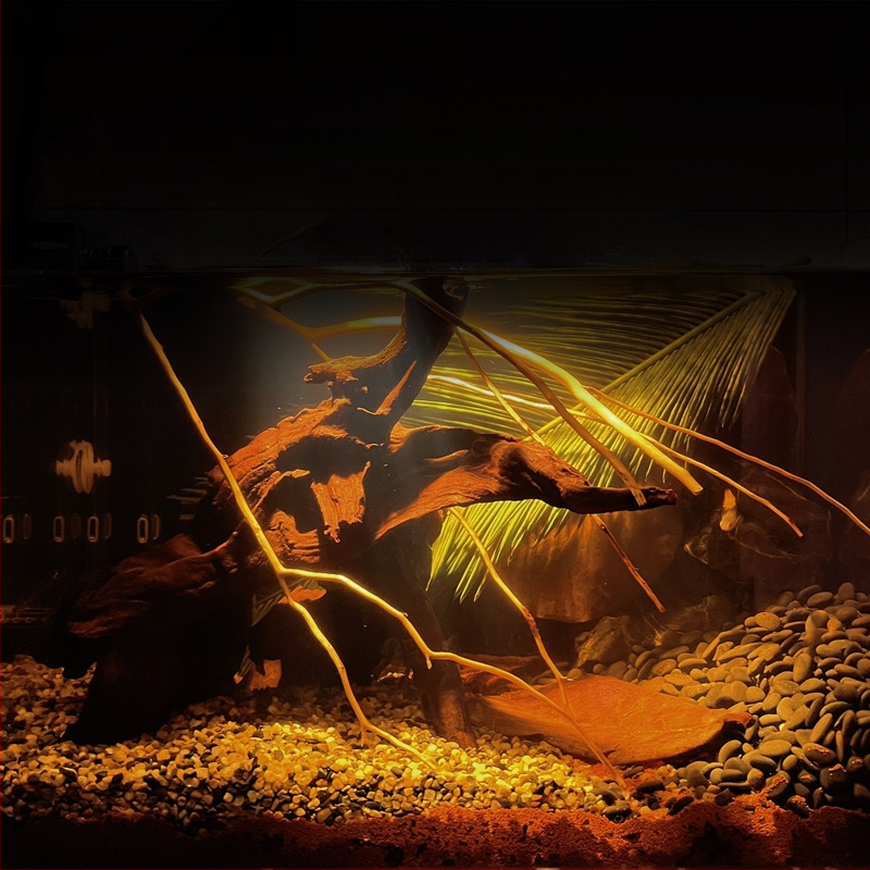 Nevirtų Elemene lapų Dou žuvies tinginių lapų žuvų akvariumo rūgštingumą mažinantis pH reguliatorius akvariumo skystas vėžlių alyvuogių lapų arbatos maišelis