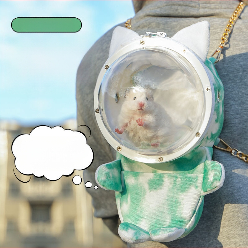 Hamsteri taskust väljas olev puuri meekott kasvas taskust väljas kaasaskantavatest hingavatest tarvikutest kuldne karu läbipaistev taskust väljas olev väikese lemmiklooma seljakott