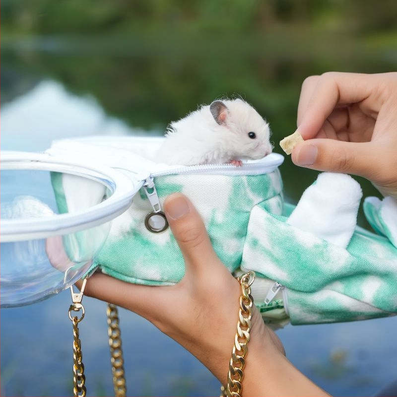 Hamsteri taskust väljas olev puuri meekott kasvas taskust väljas kaasaskantavatest hingavatest tarvikutest kuldne karu läbipaistev taskust väljas olev väikese lemmiklooma seljakott