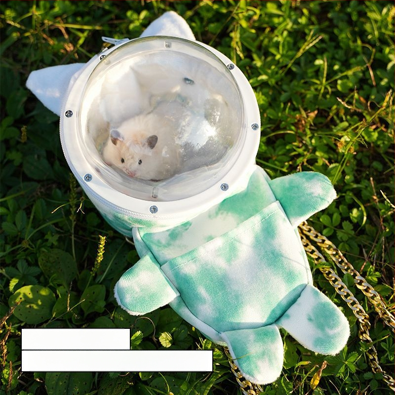 Hamsteri taskust väljas olev puuri meekott kasvas taskust väljas kaasaskantavatest hingavatest tarvikutest kuldne karu läbipaistev taskust väljas olev väikese lemmiklooma seljakott