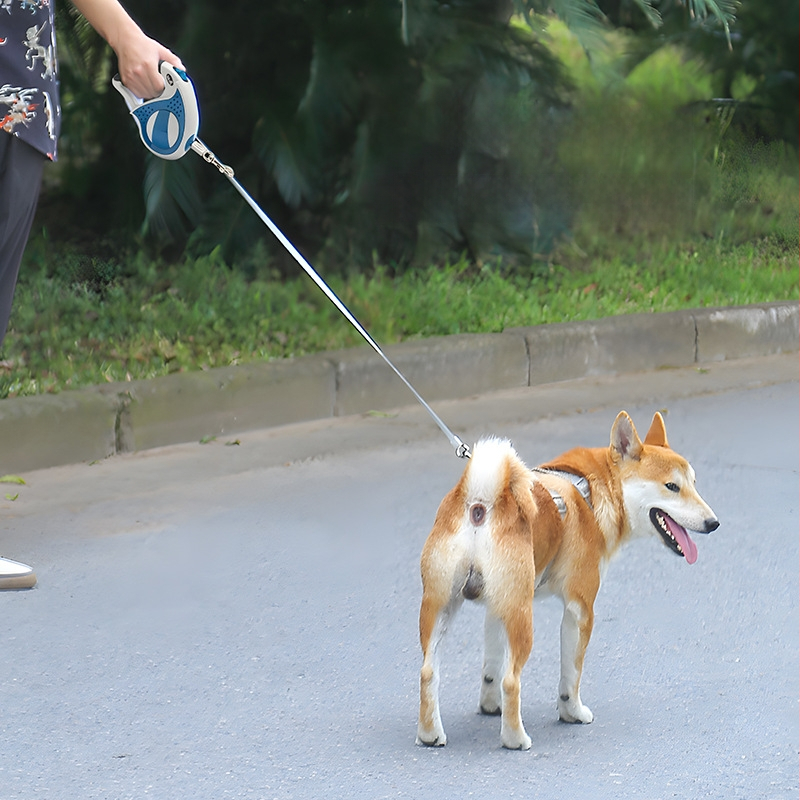 Valmis lemmikloomade koerarihm, automaatne sissetõmmatav koerarihm, koerakett keskmistele ja suurtele koertele, kadumisvastane koerarihm