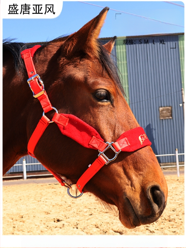 Hobusepöörad, vastupidavad ja reguleeritavad rakmed väikestele ja suurtele hobustele, sobivad ratsutamiseks