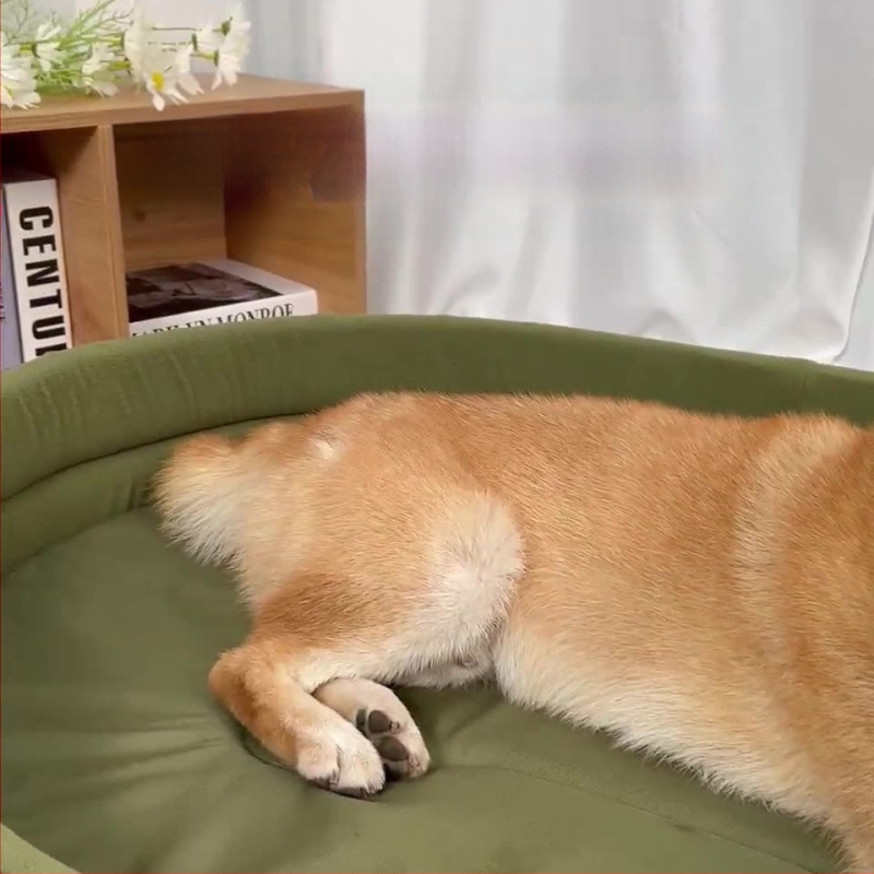 Oxfordi riidest koerakuut, ovaalne koerakuut, universaalne igaks aastaajaks, uhke Shiba Inu koeramadrats, kassikuut, piiriülene hulgimüük