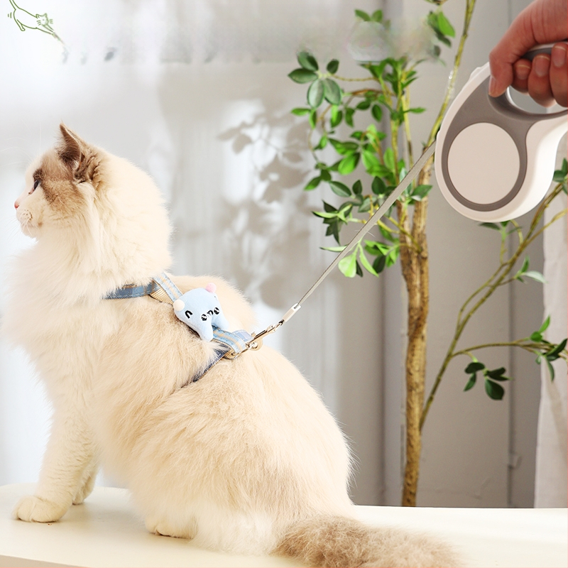 Koera- ja kassirihm Automaatne sissetõmmatav purunemisvastane koerte jalutusrihm Väikeste koerte Teddy Corgi väljasõit