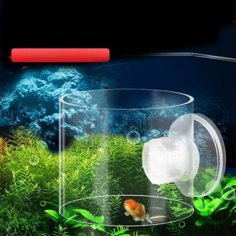 Akvaariumi söötja punane putukatops väike akvaariumikalade söötmisrõngas ujuv fikseeritud kalasöötja söötmisrõngas söötmistoru