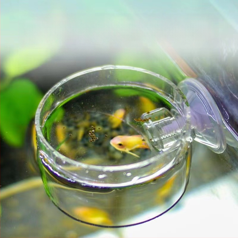 Akvaariumi söötja punane putukatops väike akvaariumikalade söötmisrõngas ujuv fikseeritud kalasöötja söötmisrõngas söötmistoru