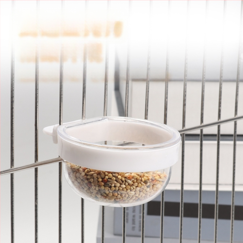 Viirpapagoi, armsa linnu, kakaduu toidukarp, toidupurk, toidukauss, linnukarikas, liivatera, muna, hirsi toidukauss, söömise õppimise lemmikloomatarbed