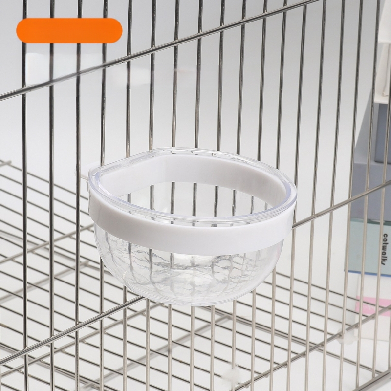 Viirpapagoi, armsa linnu, kakaduu toidukarp, toidupurk, toidukauss, linnukarikas, liivatera, muna, hirsi toidukauss, söömise õppimise lemmikloomatarbed