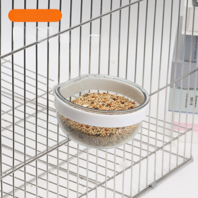 Viirpapagoi, armsa linnu, kakaduu toidukarp, toidupurk, toidukauss, linnukarikas, liivatera, muna, hirsi toidukauss, söömise õppimise lemmikloomatarbed