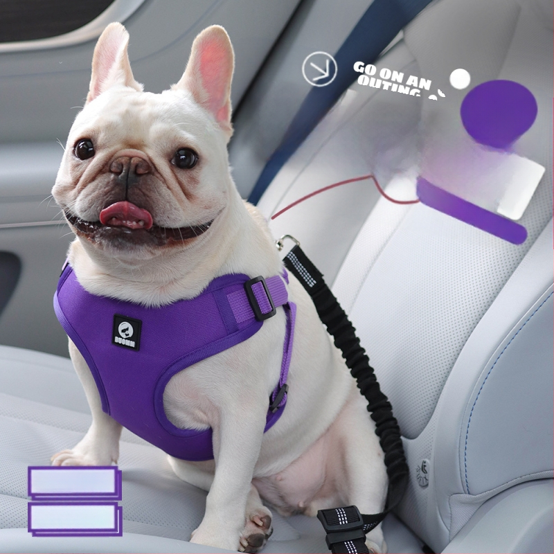 Hulgimüük lemmikloomade auto rinnal seljaga sõitmiseks hädapidurdus pööramine lendamise vastane koera veojõu köis mugav nullrõhuga koera rinnal seljal