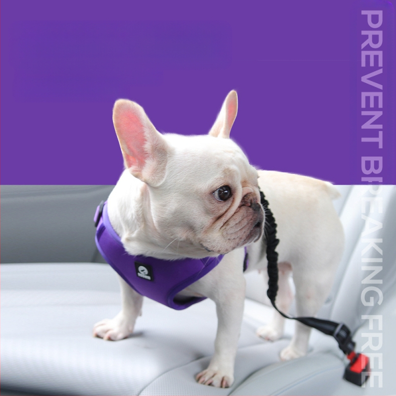 Hulgimüük lemmikloomade auto rinnal seljaga sõitmiseks hädapidurdus pööramine lendamise vastane koera veojõu köis mugav nullrõhuga koera rinnal seljal