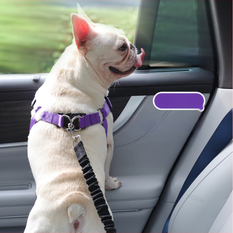 Hulgimüük lemmikloomade auto rinnal seljaga sõitmiseks hädapidurdus pööramine lendamise vastane koera veojõu köis mugav nullrõhuga koera rinnal seljal