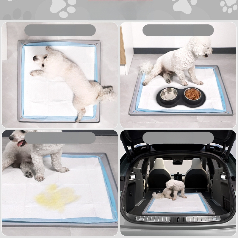 Határokon átnyúló szilikon kisállat pelenkabetét mosható, újrafelhasználható edzőpárna eldobható pelenkarögzítő párna