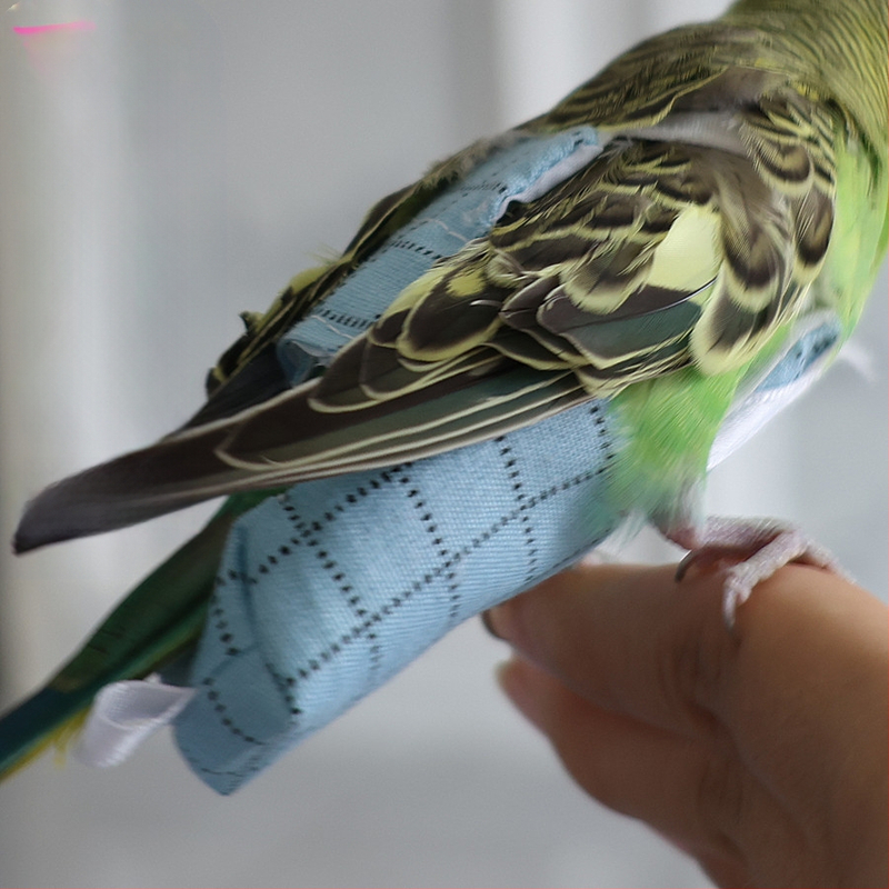 Papagoimähkmed, linnukaka riided, tiigrinahast mustad Phoenixi pojengi mähkmed, reguleeritavad lennuülikonnad, lemmikloomade linnutarbed