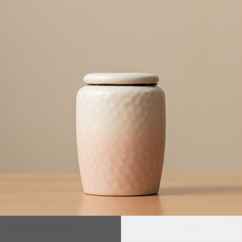 Augintinio mirties urna, katės ir šuns užsandarinta laidojimo dantų plaukų kolekcija, mirties metinių kremavimo indas