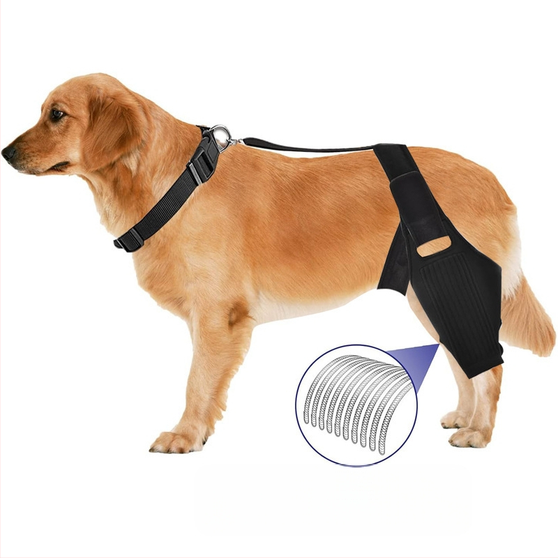 Наколенка за кучета Amazon, колянна става за кучета, предна кръстна връзка за домашни любимци, крак за домашни любимци, защита от скъсване на връзки, рехабилитационен колан за разединяване на ставите