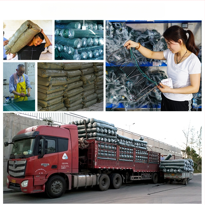 Kavez za ribu u obliku lepeze, sklopiva posuda za škampe, ribarska mreža, mreža za dolje, kavez za ribu, hvatanje ribe, hvatanje ribe, jegulje i jastoga, može ulaziti i izlaziti samo sa škampima