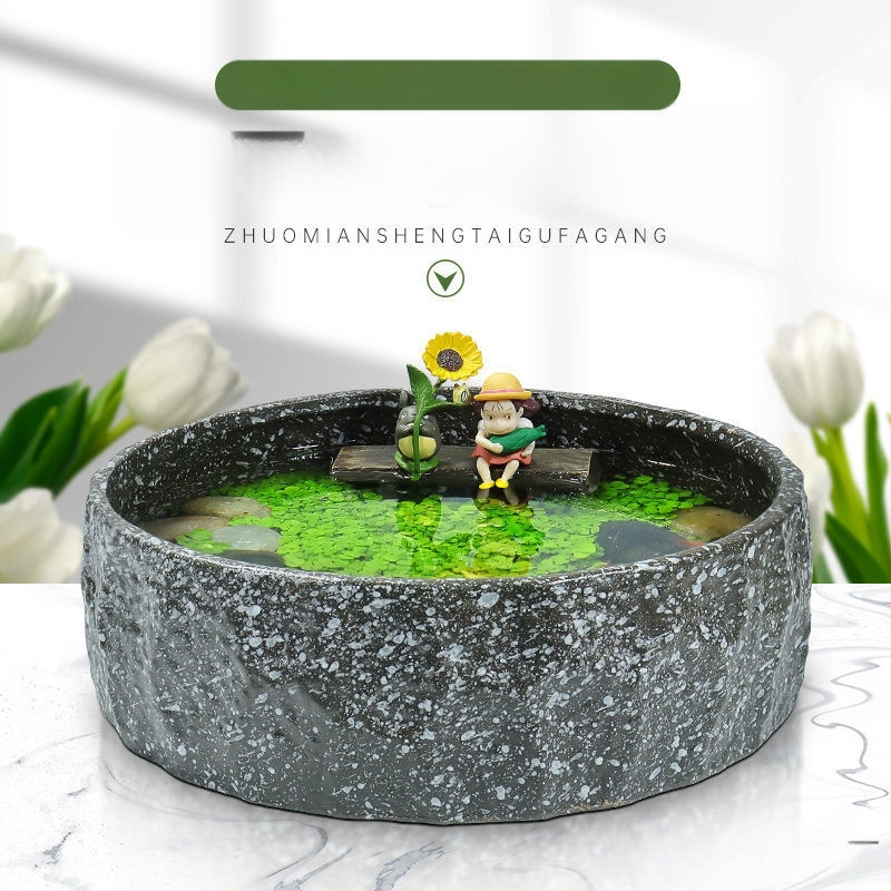 Senovinis metodas, cilindras, mikropeizažas, pasaka, kraštovaizdžio papuošalai, maži namų ūkiai, kūrybingi ekologiški vandens augalai, dekoratyviniai hidroponiniai augalų peizažai