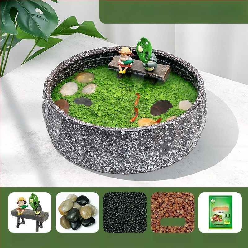 Senovinis metodas, cilindras, mikropeizažas, pasaka, kraštovaizdžio papuošalai, maži namų ūkiai, kūrybingi ekologiški vandens augalai, dekoratyviniai hidroponiniai augalų peizažai