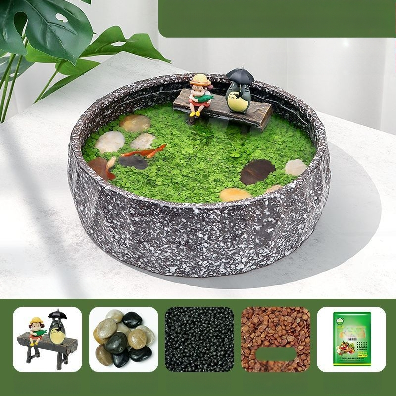 Senovinis metodas, cilindras, mikropeizažas, pasaka, kraštovaizdžio papuošalai, maži namų ūkiai, kūrybingi ekologiški vandens augalai, dekoratyviniai hidroponiniai augalų peizažai