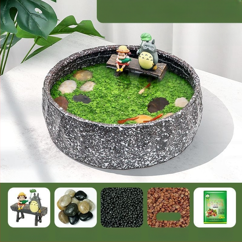 Senovinis metodas, cilindras, mikropeizažas, pasaka, kraštovaizdžio papuošalai, maži namų ūkiai, kūrybingi ekologiški vandens augalai, dekoratyviniai hidroponiniai augalų peizažai